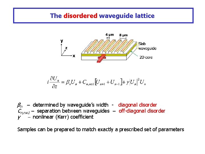 The disordered waveguide lattice βn – determined by waveguide’s width - diagonal disorder Cn,