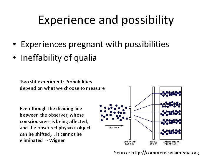 Experience and possibility • Experiences pregnant with possibilities • Ineffability of qualia Two slit