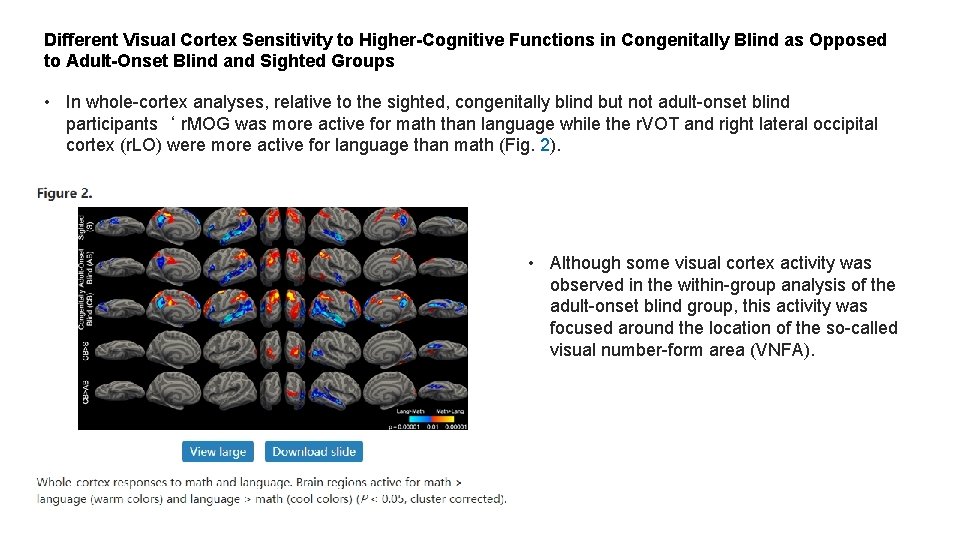 Different Visual Cortex Sensitivity to Higher-Cognitive Functions in Congenitally Blind as Opposed to Adult-Onset