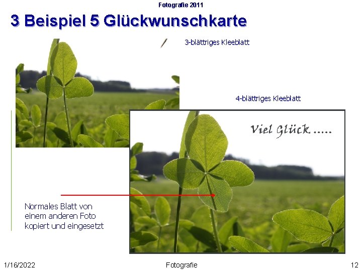 Fotografie 2011 3 Beispiel 5 Glückwunschkarte 3 -blättriges Kleeblatt 4 -blättriges Kleeblatt Normales Blatt