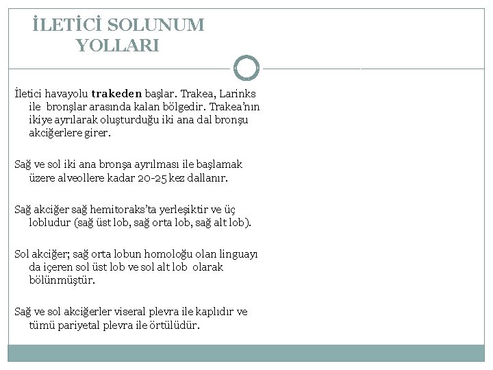 İLETİCİ SOLUNUM YOLLARI İletici havayolu trakeden başlar. Trakea, Larinks ile bronşlar arasında kalan bölgedir.