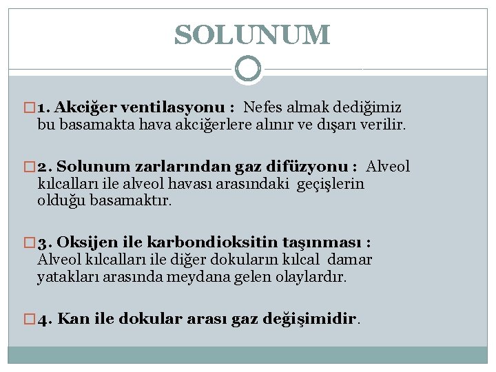 SOLUNUM � 1. Akciğer ventilasyonu : Nefes almak dediğimiz bu basamakta hava akciğerlere alınır