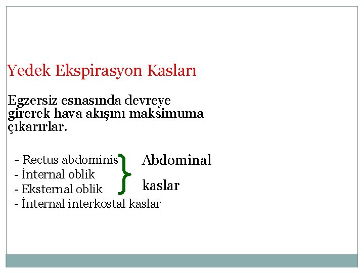 Yedek Ekspirasyon Kasları Egzersiz esnasında devreye girerek hava akışını maksimuma çıkarırlar. - Rectus abdominis