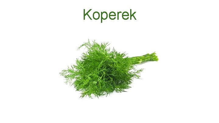 Koperek 