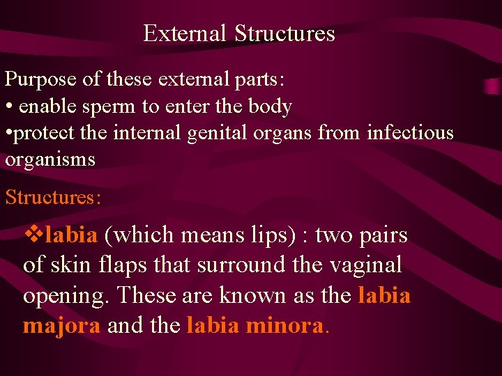 External Structures Purpose of these external parts: • enable sperm to enter the body