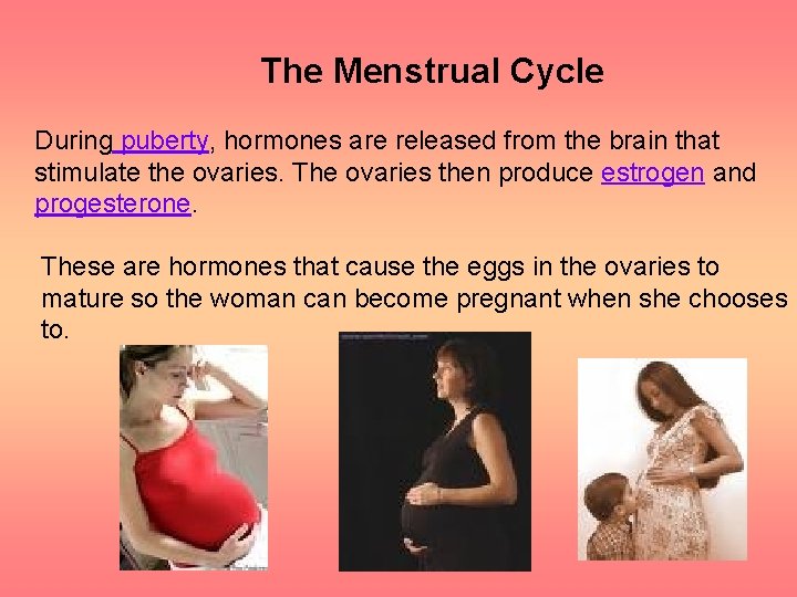 The Menstrual Cycle During puberty, hormones are released from the brain that stimulate the