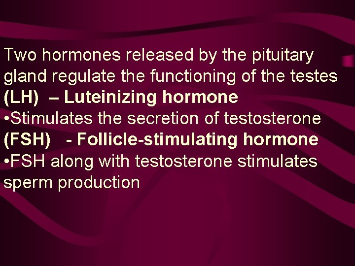 Two hormones released by the pituitary gland regulate the functioning of the testes (LH)