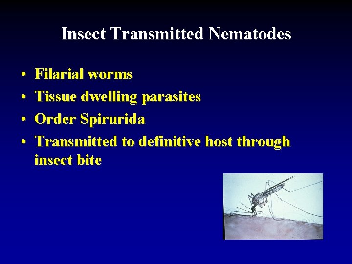 Insect Transmitted Nematodes • • Filarial worms Tissue dwelling parasites Order Spirurida Transmitted to