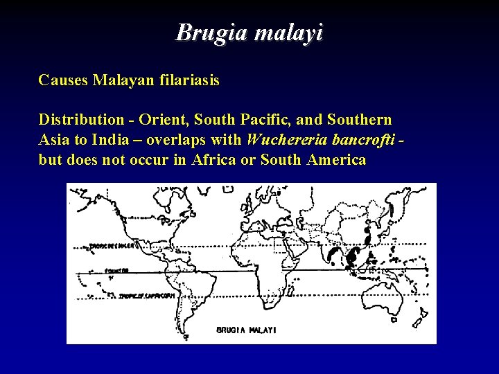 Brugia malayi Causes Malayan filariasis Distribution - Orient, South Pacific, and Southern Asia to