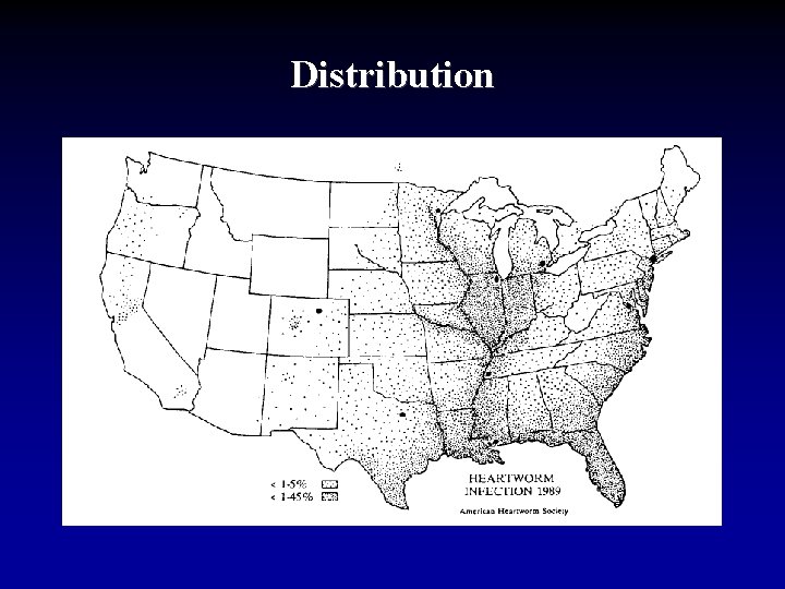 Distribution 