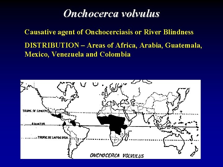 Onchocerca volvulus Causative agent of Onchocerciasis or River Blindness DISTRIBUTION – Areas of Africa,