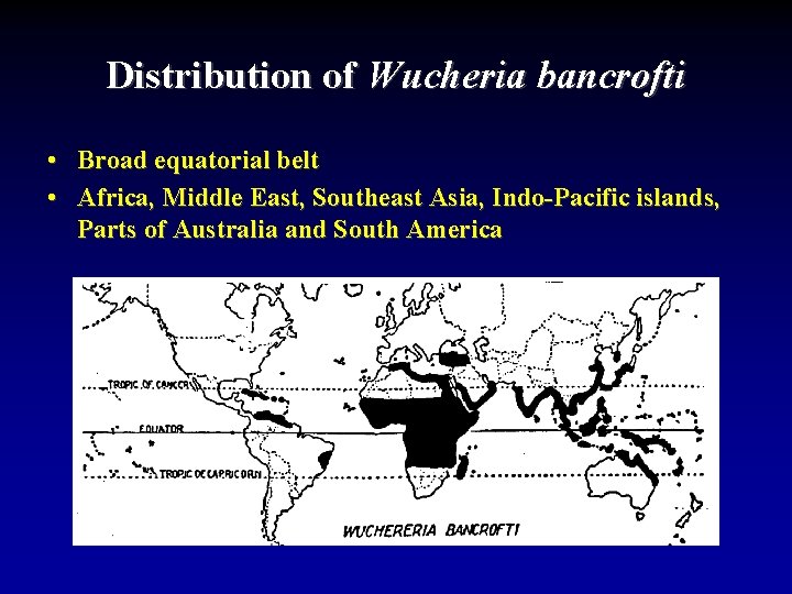 Distribution of Wucheria bancrofti • Broad equatorial belt • Africa, Middle East, Southeast Asia,