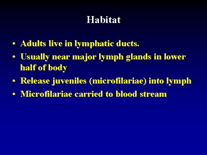 Habitat • Adults live in lymphatic ducts. • Usually near major lymph glands in
