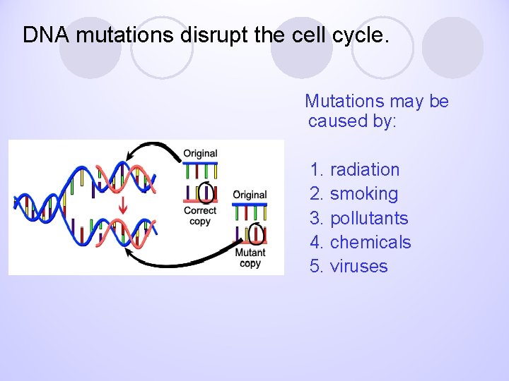 DNA mutations disrupt the cell cycle. Mutations may be caused by: 1. radiation 2.