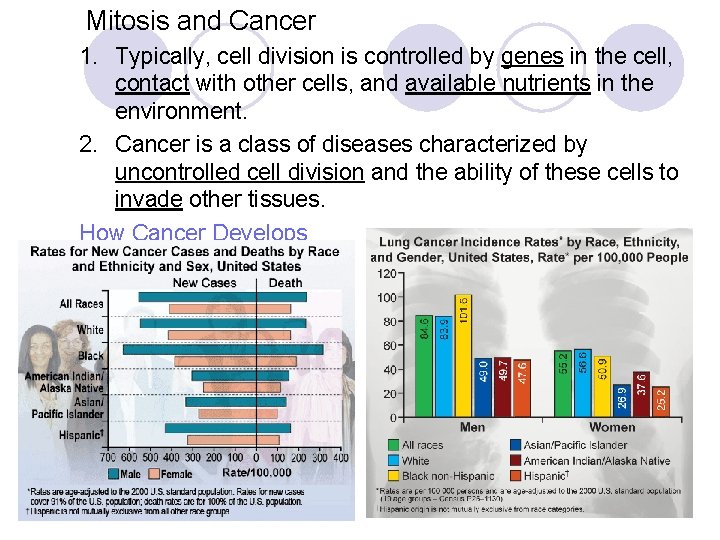 Mitosis and Cancer 1. Typically, cell division is controlled by genes in the cell,