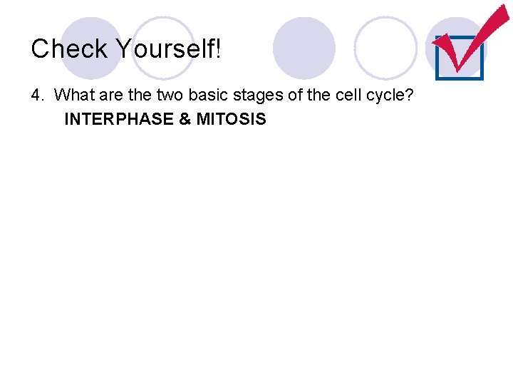 Check Yourself! 4. What are the two basic stages of the cell cycle? INTERPHASE