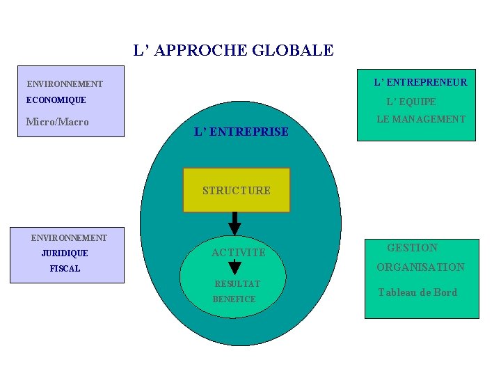 L’ APPROCHE GLOBALE L’ ENTREPRENEUR ENVIRONNEMENT ECONOMIQUE Micro/Macro L’ EQUIPE L’ ENTREPRISE LE MANAGEMENT