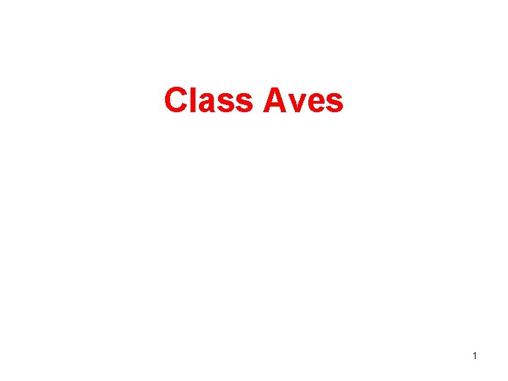 Class Aves 1 