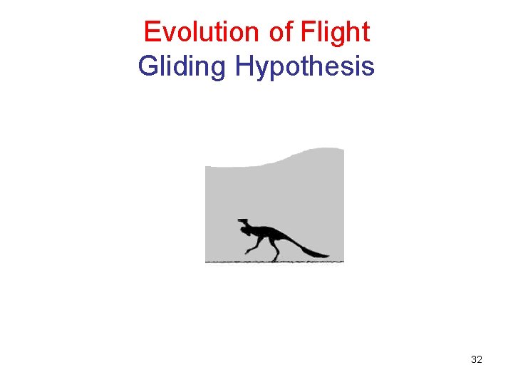 Evolution of Flight Gliding Hypothesis 32 