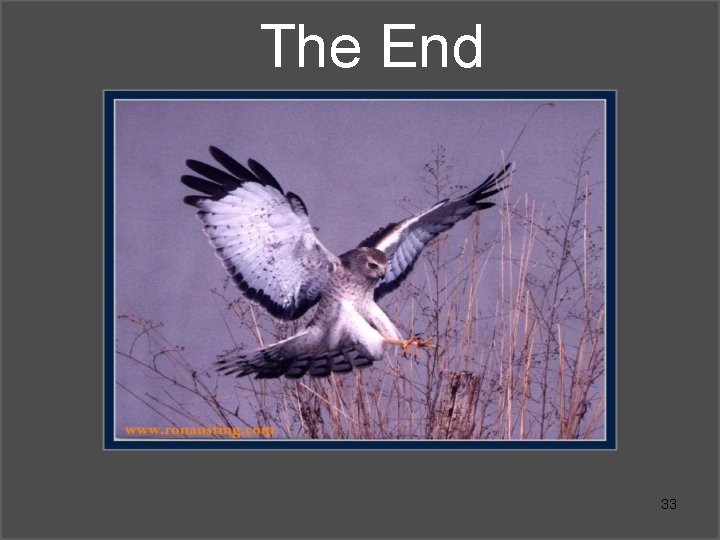 The End 33 