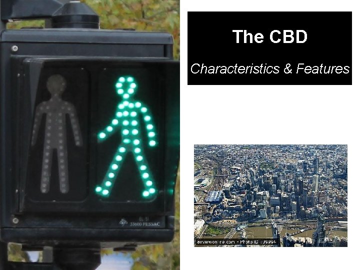 The CBD Characteristics & Features 