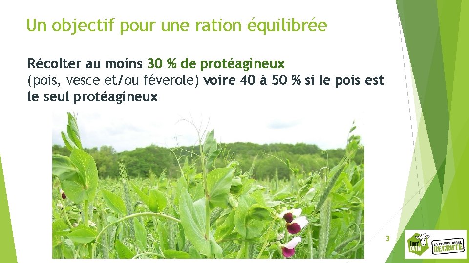 Un objectif pour une ration équilibrée Récolter au moins 30 % de protéagineux (pois,