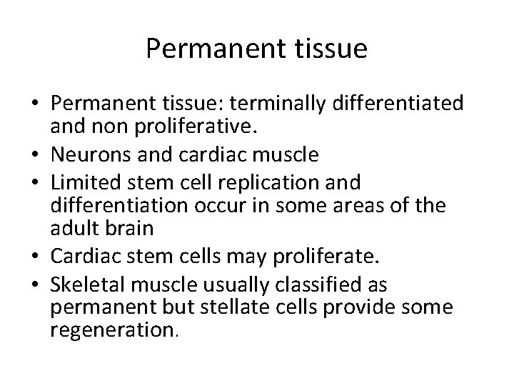Permanent tissue • Permanent tissue: terminally differentiated and non proliferative. • Neurons and cardiac