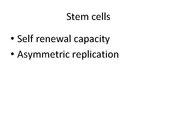 Stem cells • Self renewal capacity • Asymmetric replication 
