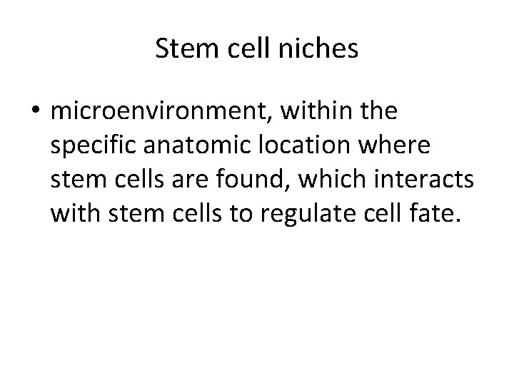 Stem cell niches • microenvironment, within the specific anatomic location where stem cells are