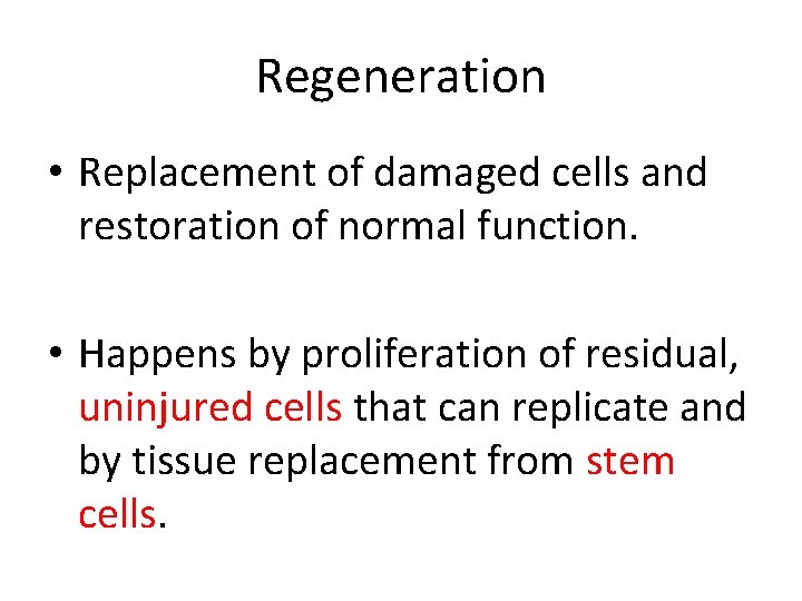 Regeneration • Replacement of damaged cells and restoration of normal function. • Happens by