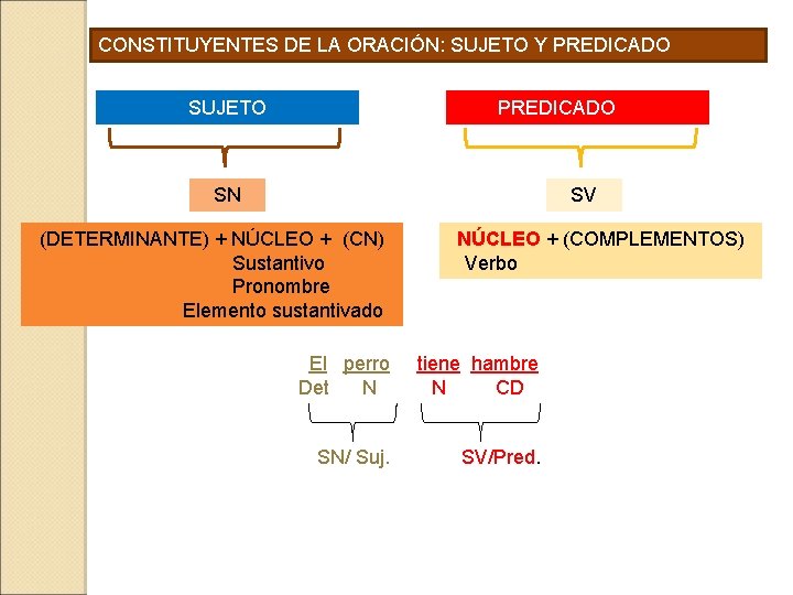 CONSTITUYENTES DE LA ORACIÓN: SUJETO Y PREDICADO SUJETO PREDICADO SN SV (DETERMINANTE) + NÚCLEO