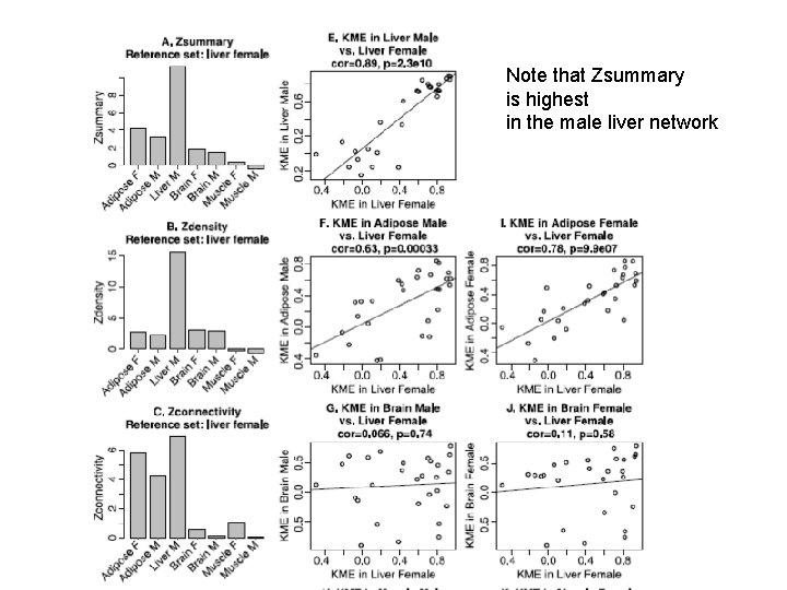 Note that Zsummary is highest in the male liver network 