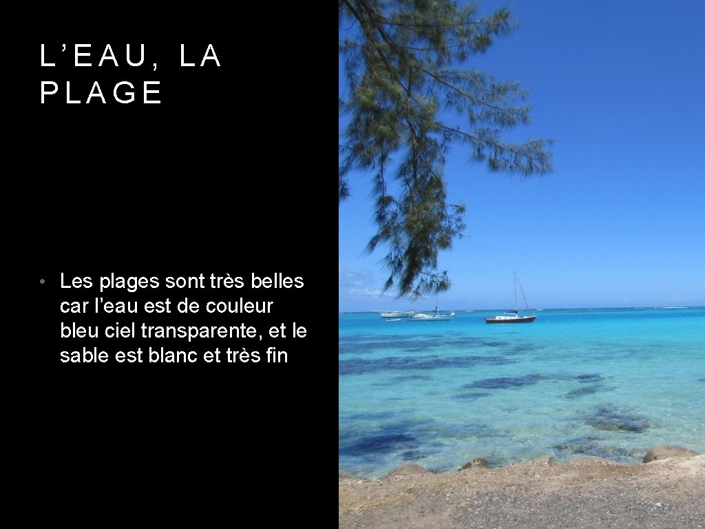 L’EAU, LA PLAGE • Les plages sont très belles car l’eau est de couleur