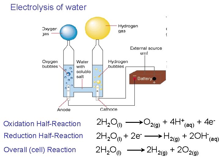 Electrolysis of water Oxidation Half-Reaction 2 H 2 O(l) Reduction Half-Reaction 2 H 2