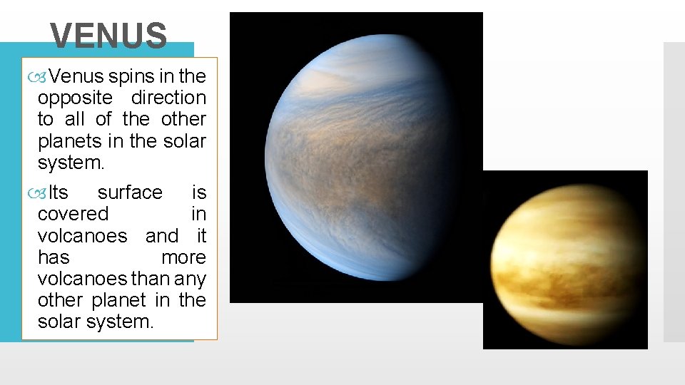 VENUS Venus spins in the opposite direction to all of the other planets in