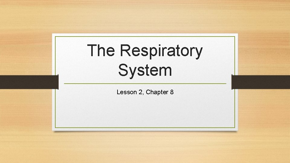 The Respiratory System Lesson 2 Chapter 8 You