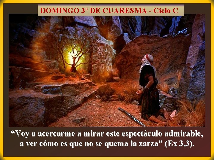 DOMINGO 3º DE CUARESMA - Ciclo C “Voy a acercarme a mirar este espectáculo