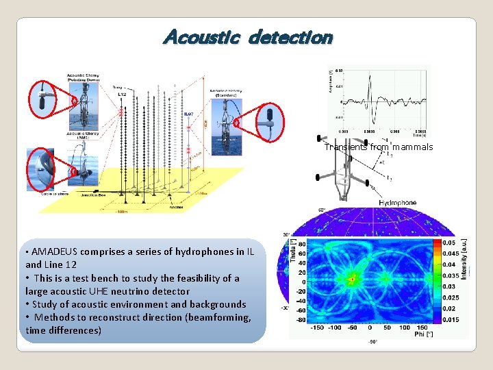 Acoustic detection Transients from mammals • AMADEUS comprises a series of hydrophones in IL