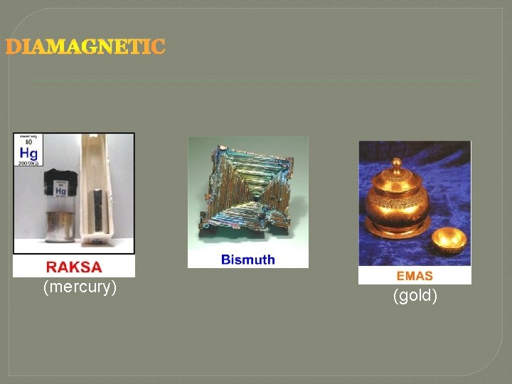 DIAMAGNETIC (mercury) (gold) 