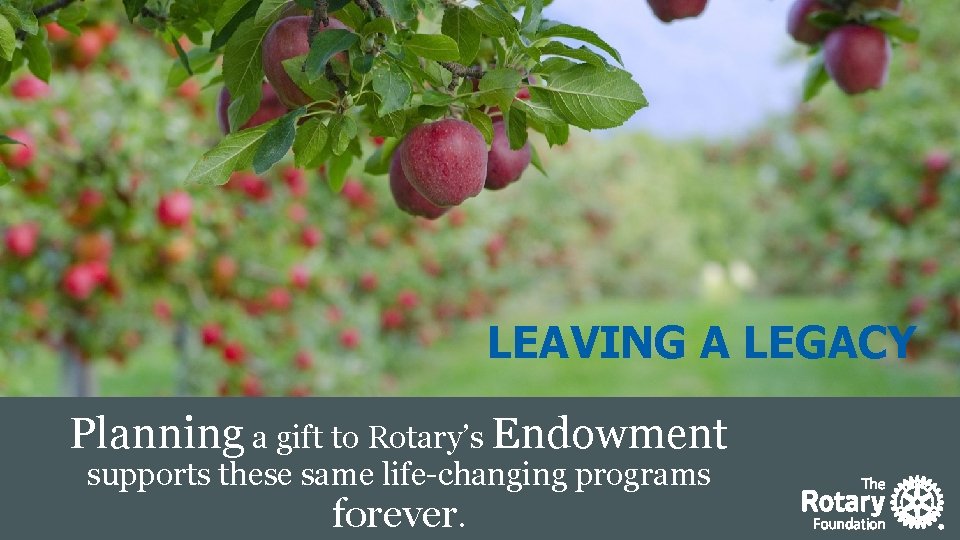 19 LEAVING A LEGACY z Planning a gift to Rotary’s Endowment supports these same