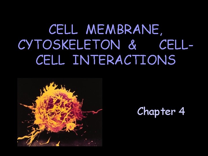 CELL MEMBRANE, CYTOSKELETON & CELL INTERACTIONS Chapter 4 