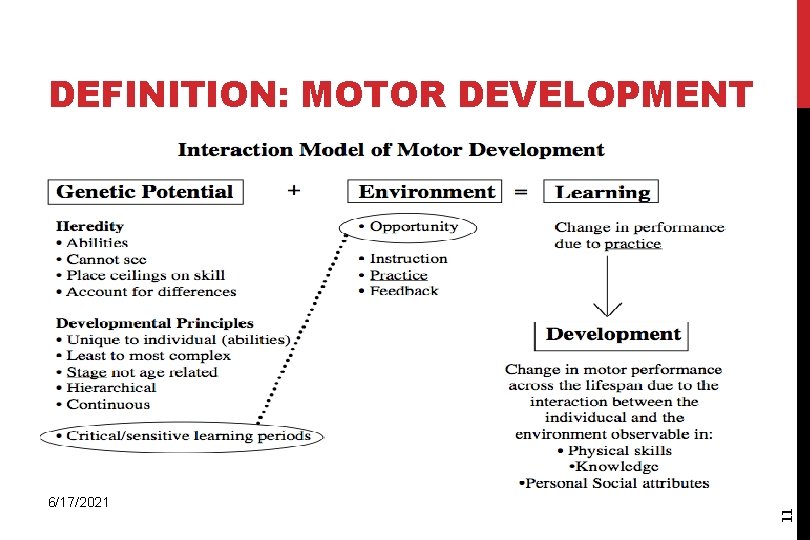 6/17/2021 11 DEFINITION: MOTOR DEVELOPMENT 