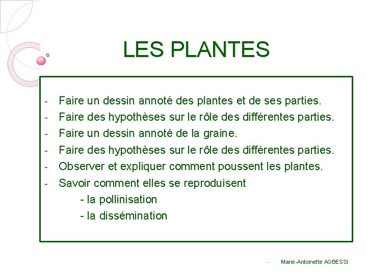 LES PLANTES - Faire un dessin annoté des plantes et de ses parties. Faire