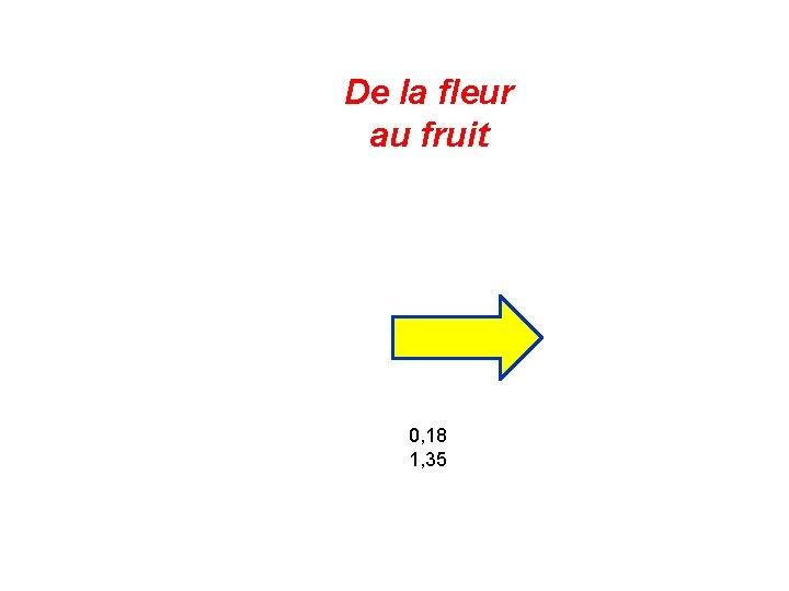 De la fleur au fruit 0, 18 1, 35 