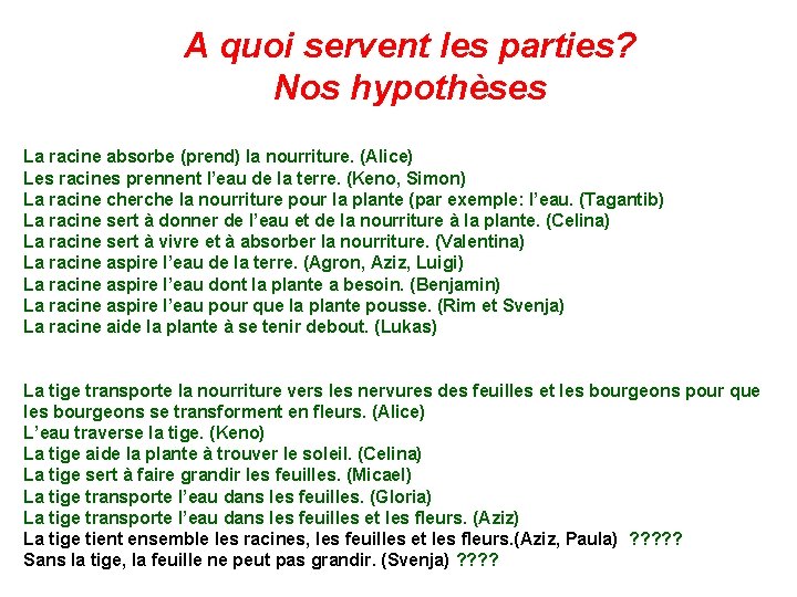 A quoi servent les parties? Nos hypothèses La racine absorbe (prend) la nourriture. (Alice)