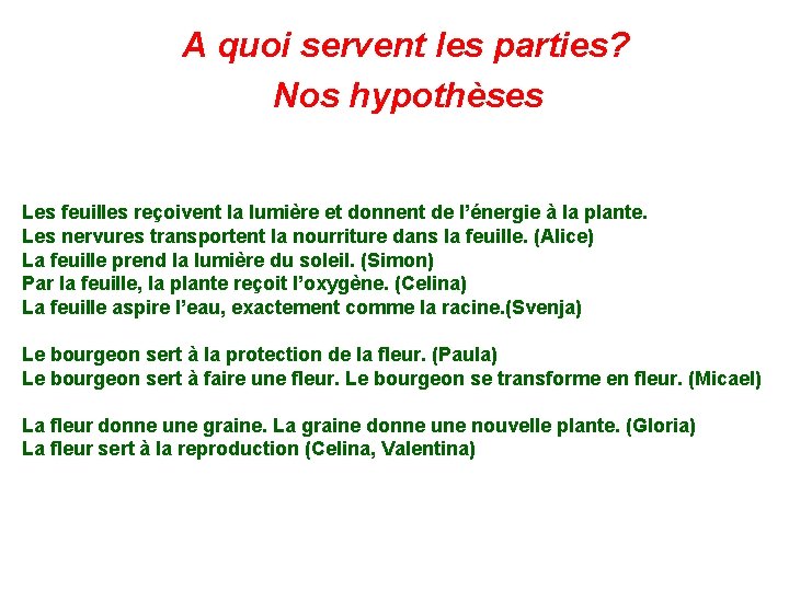 A quoi servent les parties? Nos hypothèses Les feuilles reçoivent la lumière et donnent