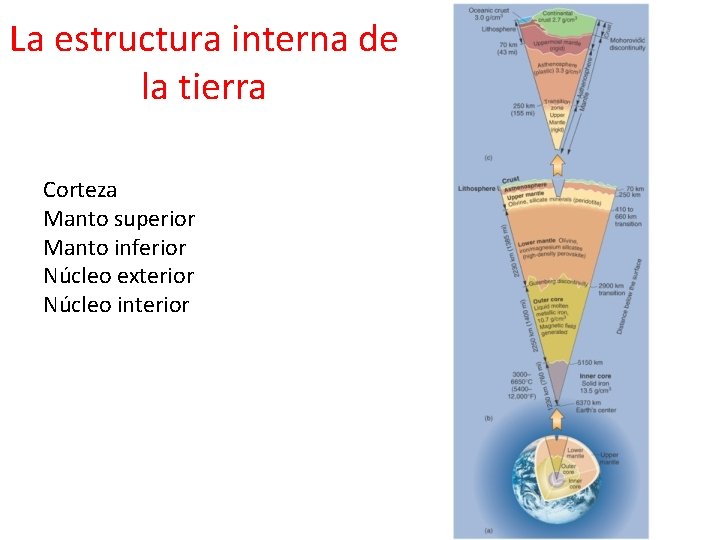 La estructura interna de la tierra Corteza Manto superior Manto inferior Núcleo exterior Núcleo