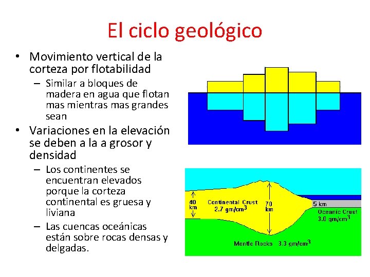 El ciclo geológico • Movimiento vertical de la corteza por flotabilidad – Similar a