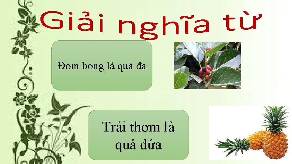 Đom bong là quả đa Trái thơm là quả dứa 