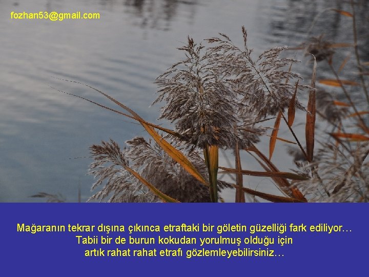 fozhan 53@gmail. com Mağaranın tekrar dışına çıkınca etraftaki bir göletin güzelliği fark ediliyor… Tabii